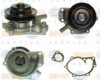 BEHR HELLA SERVICE 8MP 376 804-011 Water Pump